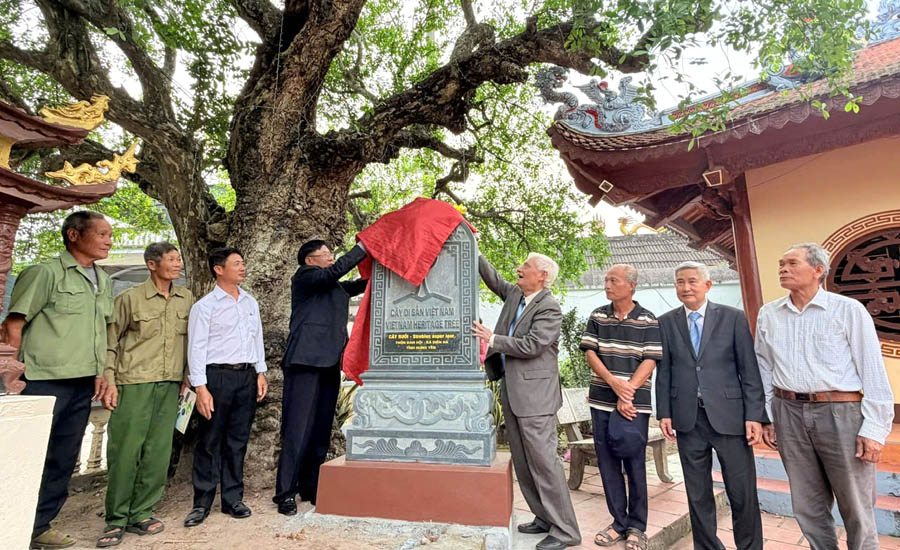 Lễ[-]công[-]bố[-]cây[-]Ruối[-]750[-]năm[-]và[-]cây[-]Đa[-]“Lá[-]cờ”[-]xã[-]Diên[-]Hà[-]trở[-]thành[-]Cây[-]Di[-]sản[-]Việt[-]Nam